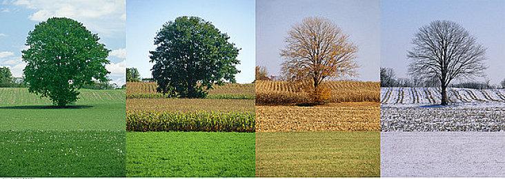 第一人称冒险游戏《Shodot》Steam页面上线 支持简中