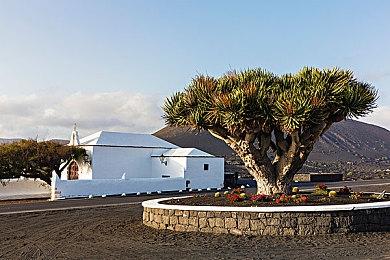 刀锋舞者！《无主之地4》铁骨战士拉法实机宣传片公开！